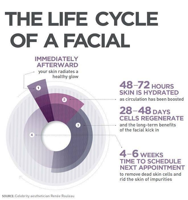 facial-infographic