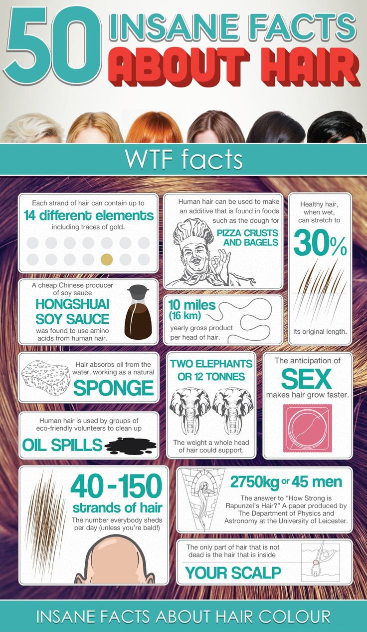 hair-salon-infographic