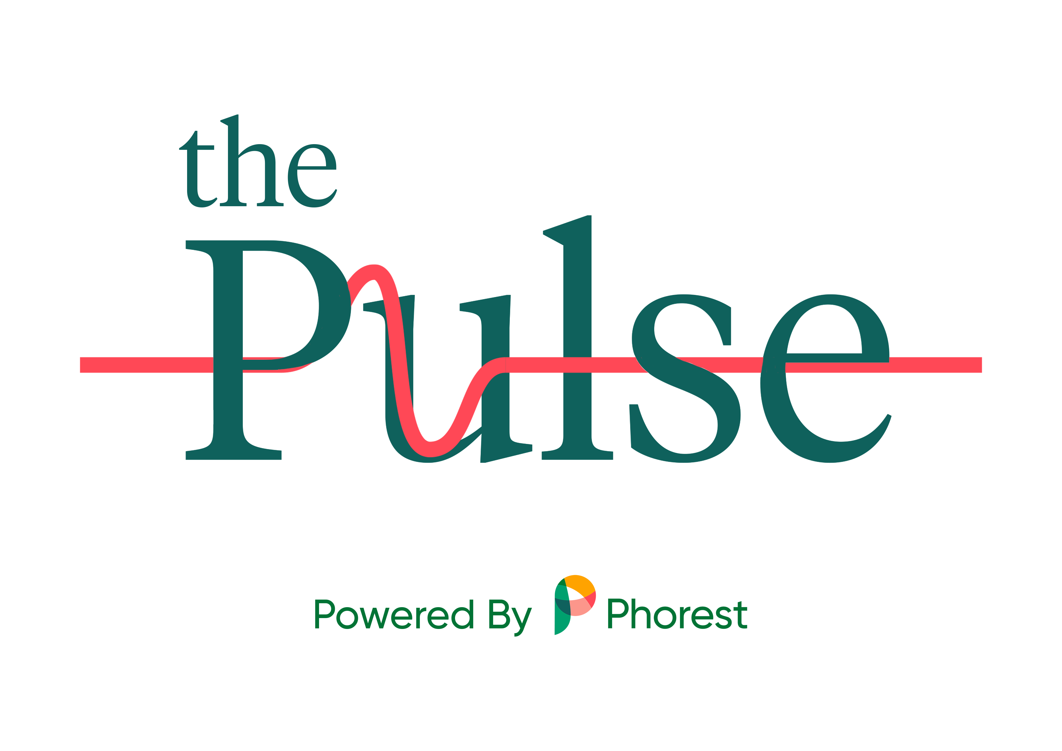 Welcome To The Second Edition Of The Pulse